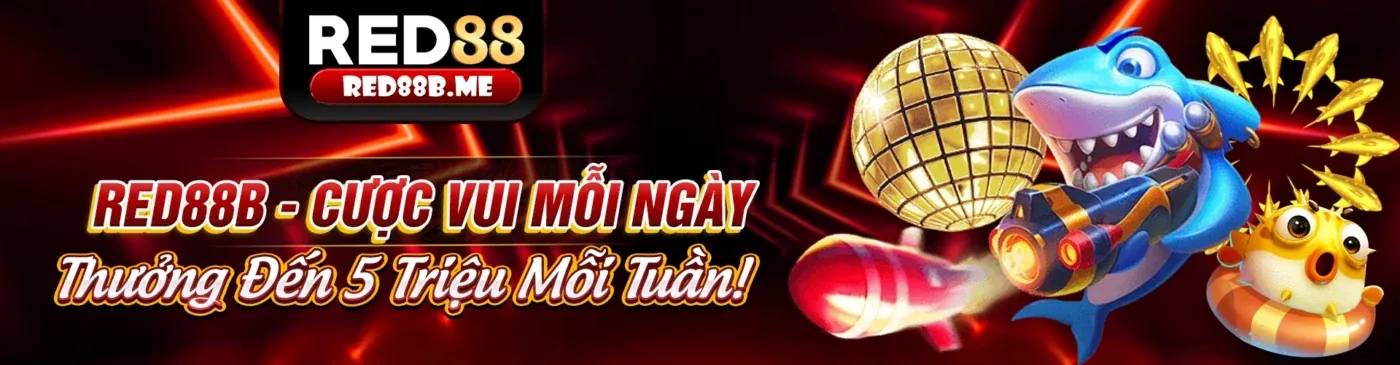 Tầm nhìn tương lai của vty05 code